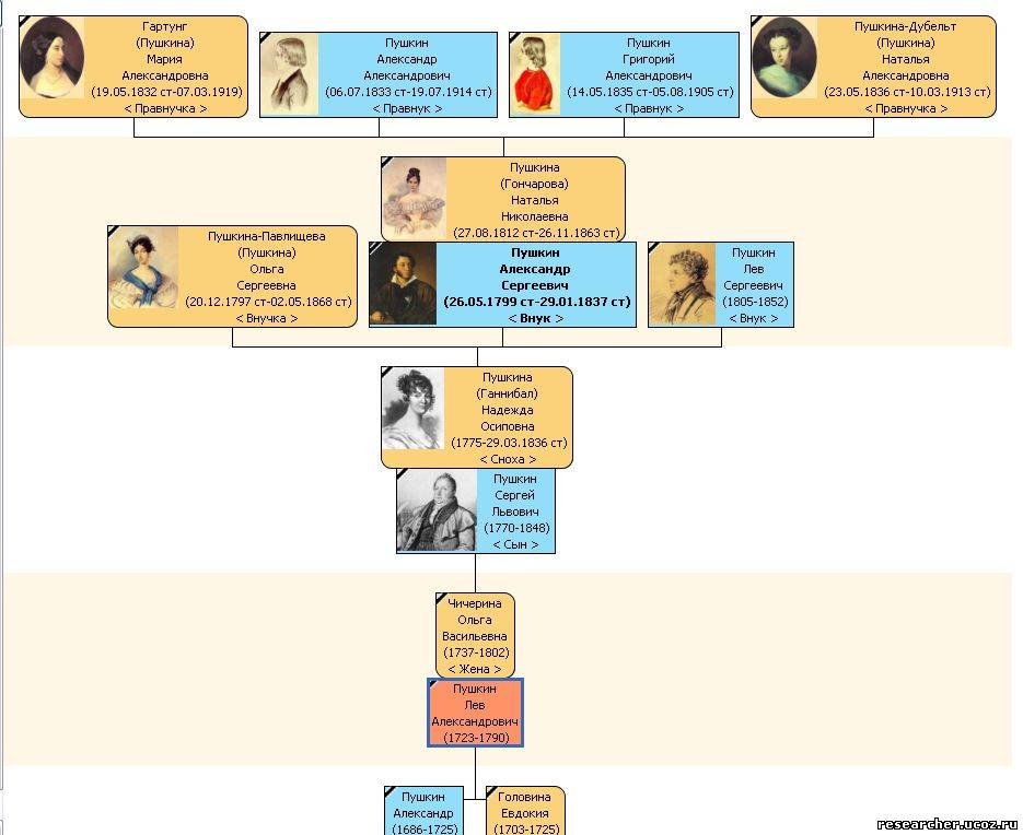Программа построения генеалогического дерева Древо Жизни 3-1-1